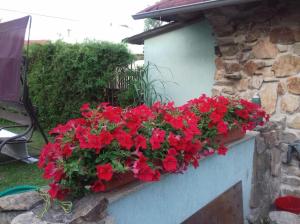 Apartmány na Hlíně