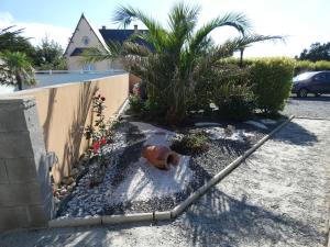 Maisons de vacances Omaha gites : photos des chambres