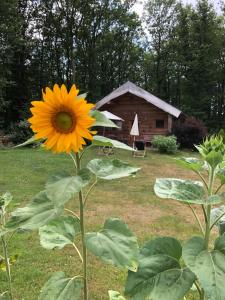 B&B / Chambres d'hotes Domaine du Vertbois : photos des chambres