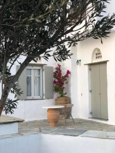 Maison Simone with private heated infinity pool & spectacular sea view Tinos Greece