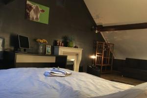 Villas Manoir BnBurgundy : photos des chambres