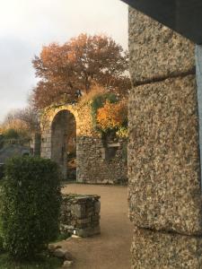 Château de la Chasse-Guerre photo 6
