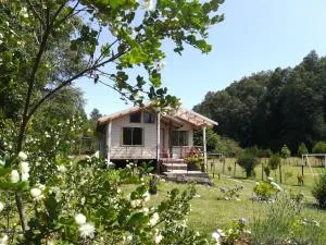 Cabañas Aliwen Panguipulli - Ñancul