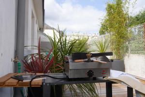 Appartements Les Aigrettes - Appartement spacieux - Terrasse et garage : photos des chambres