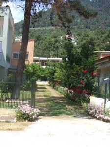 House by the sea Thassos Greece