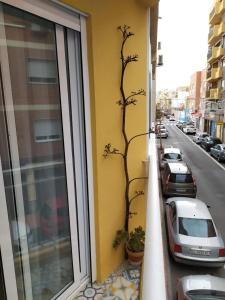 El Zapillo