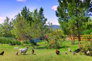 Lodges Lodge en Pays Cathare : photos des chambres