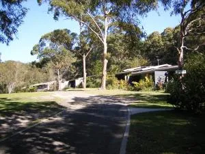 Sandpiper On Smiths Lake - 史密斯湖