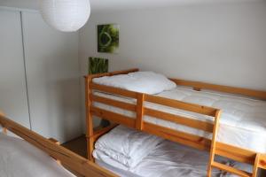 Appartements Deluxe Ski and Summer Apartment, Parking and WiFi : photos des chambres