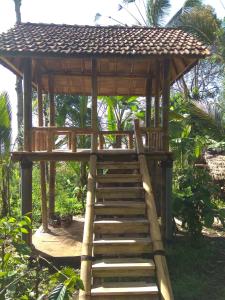 Bali mountain forest cabin