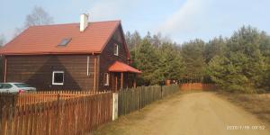 Białowieża Spanie na sianie Puszcza Białowieska