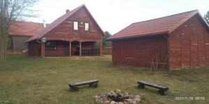 Białowieża Spanie na sianie Puszcza Białowieska