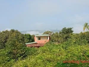 Whistling farms Home Stay - Narsinge