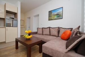 Almi Lux Apartman Zlatibor