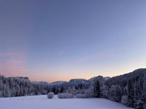 Apartement Kaiserblick Apartments Wildschönau Austria