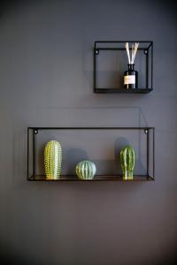 Appartements 2 pieces avec patio dans le centre de Toulon : photos des chambres