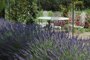 Maisons d'hotes Une Campagne En Provence : photos des chambres