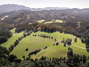 Chalet Hinterbreiteneben