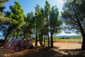 Campings Camping la Peiriere : photos des chambres