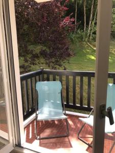 Entre forêt et Mer au Calme