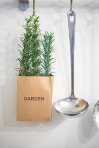 Sea and Sun Luxury Pools Villas