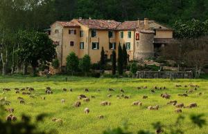 Une Campagne En Provence