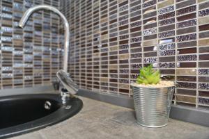 Apartments Mediteranea 1