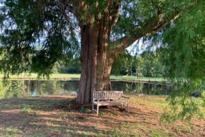 Chalets Romantic anciens cottage in a beautiful park : photos des chambres