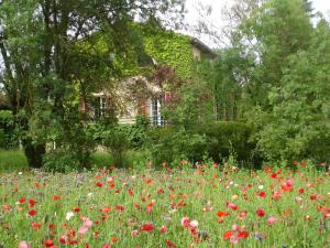 Maisons d'hotes Une Campagne En Provence : photos des chambres