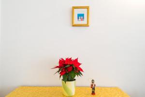 Apartment in OLD TOWN with CITY VIEW