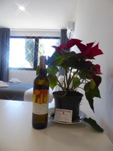 Agriturismo Tenuta Bettozza