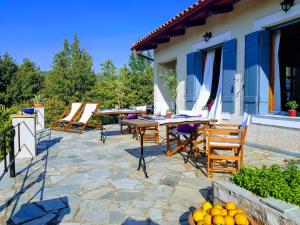 Helicon Muses Friendly Mountain B&B Guesthouse Parnassos Greece