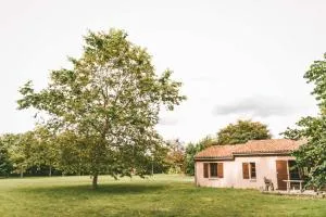 Moncontour 3p 4/6pers Gite - Frontenay-sur-Dive