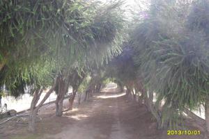 Ferienwohnung Panorama, Wohlfühloase Auszeit
