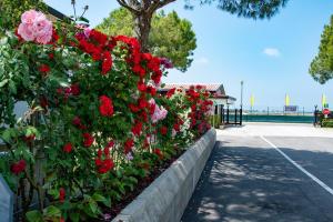 Camping Village Miramare