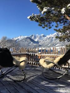 Pension Chalet Gletscherblick Stubai Mieders Österreich