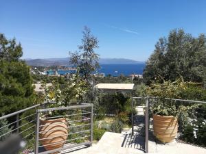 Stone House in olive grove Argolida Greece