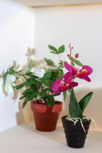 ORION Apartment