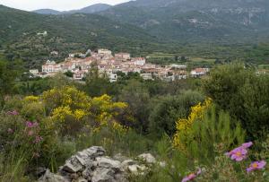 Spiti Mili Samos Greece