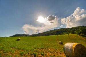 la cartiera dei benandanti