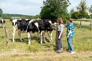 B&B / Chambres d'hotes la grange aux hirondelles : photos des chambres