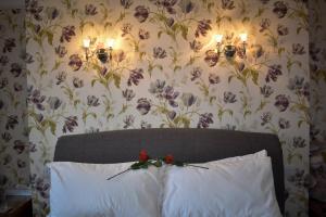 TLC Exmouth Bed and Breakfast