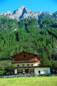 Pension Nina & Gasthof Alpenrose - 格施尼茨