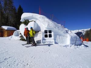 Chalets Chalet avec jardin : photos des chambres