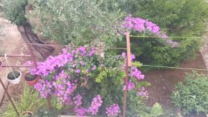 Apartmani A1 Marina, Okrug Gornji