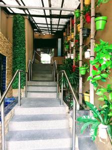 Hinnam Saisuay by One