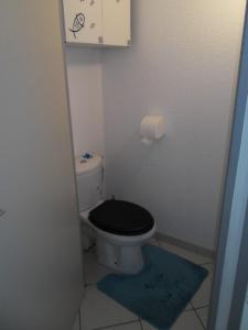 Appartements Appartement en duplex a 400 m de la plage dans residence avec piscine commune 1 chambre 4 couchages WIFI LXOND47 : photos des chambres