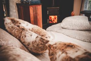 Finest Retreats - The Tree House - Eco-Friendly, Back to Nature Experience