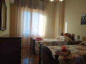 Tertenia Centro img15