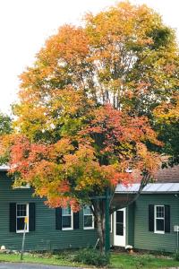 Restored Historic Home Half Mile to Ski Resort!